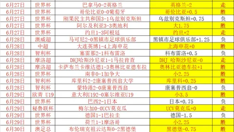 2026年友谊赛解析：18胜12负背后的隐秘因素深度解析